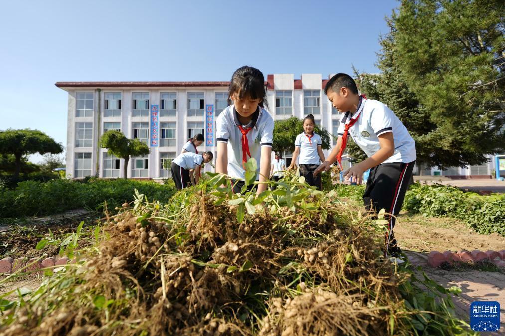 天九2娱乐注册